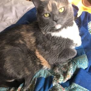 Meet your Posher, Kp